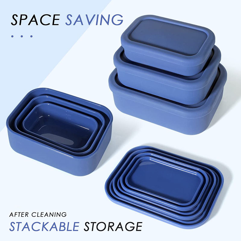 Leak-Resistant Bento Lunch Box - огляд і ціна Meal Prep Meal Ideas