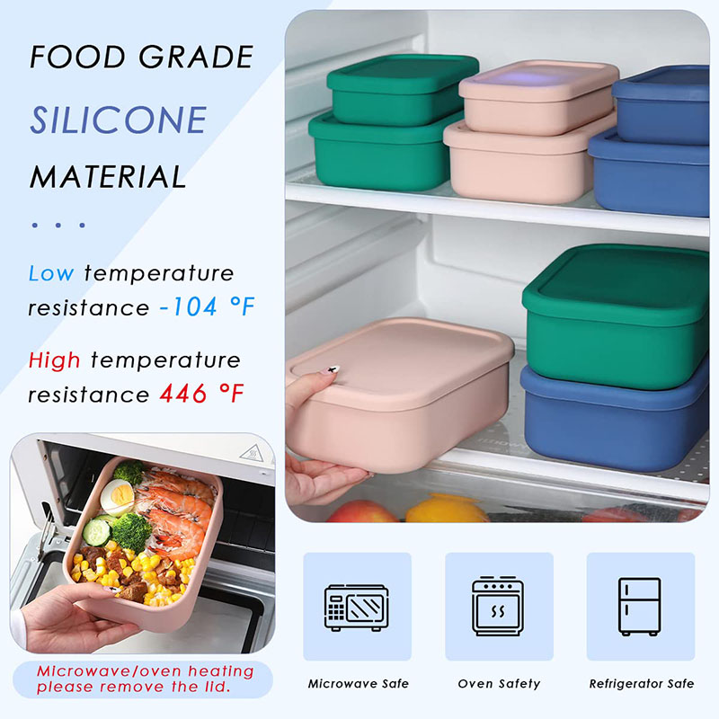 Leak-Resistant Bento Lunch Box - огляд і ціна Meal Prep Meal Ideas